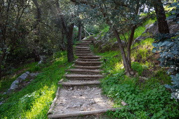 Fototapeta premium Wooden stairs at Filopappou hill, in Greece drive visitors to the top of it. Adventure, hiking and healthy lifestyle at wild nature background.