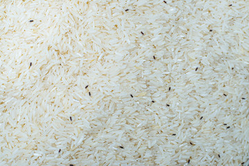 grain rice with many moth.
