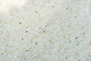 grain rice with many moth.