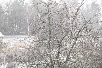 There is heavy snow on the street. March 4. Finland Espoo