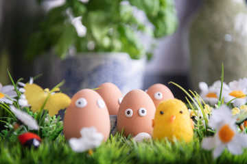 Fototapeta na wymiar Happy Easter eggs in the kitchen among the spring grass with flowers, Easter egg hunt, egg characters with funny faces, Happy Easter concept, kitchen in the background, Easter theme, background, postc