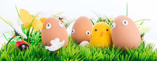 Fototapeta na wymiar Happy Easter eggs in a row among the spring grass with flowers on an isolated white background, frame, border, egg characters with funny eyes, Happy Easter concept, Easter theme, chicken, postcard,