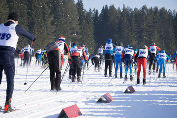 compete at mass start in the Men's 15km 15km Skiathlon at the Winter Games at Alpensia Cross-Country Skiing Centre .