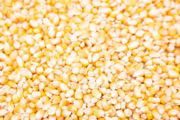 Full corn
