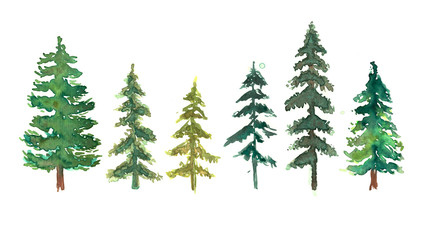 Green pine trees watercolor set in white background. Fir trees silhouettes and splashes background. Watercolor abstract woodland