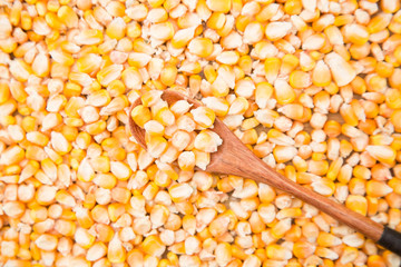 Full corn