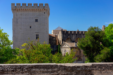 Avignon. Provence. The famous papal palace on a sunny day.