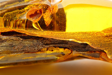 Fantastic patterns. Luxury background for fashion advertising. A magical macro shot of transparent polished amber. Colored natural texture of an ancient mineral. Wood resin inclusions. Crystal