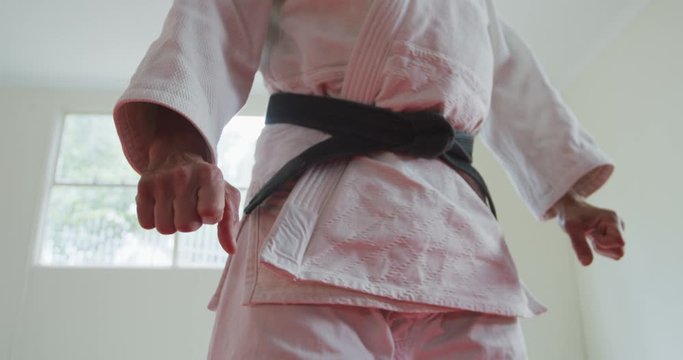 Low angle view karateka posing on the mat