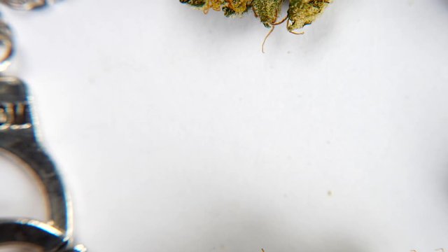Handcuffs labeled freedom move in CBD cannabis buds. The concept of legalization of marijuana. Stop Motion