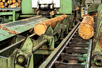 Timber shortage in industry. Woodworking Machine. Modern sawmill. Industry sawing boards from logs.
