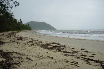 Cape Tribulation