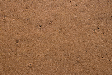 sand texture background