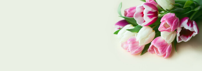 Banner with bouquet of tulips in pink and white colors on yellow background. Concept of spring, Women's Day, Mother's Day, 8 March, the holiday greetings. Copy space, flat lay.