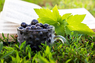 Black currant berries in a mug on the grass in the garden near the book_
