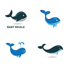 Baby whale icon © patmasari45