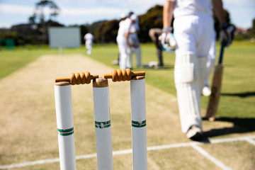 Close up view of cricket stumps on a cricket pitch