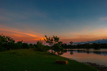 Wallpaper blurred nature of the twilight light in the evening by the large water basin surrounded by big trees,the integrity of the forest