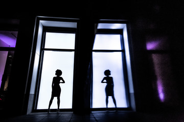 Full-length female silhouette on a rectangular window background. A woman stands and looks away. Her figure is reflected on the wall. Lifestyle