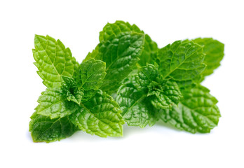 Mint herbal closeup