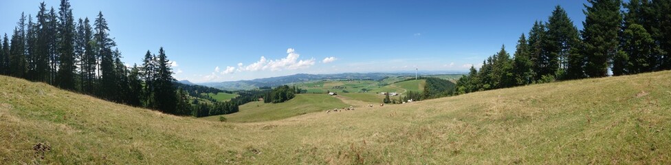 Fototapeta premium Suisse