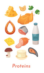 Protein food set. Vector proteins collection. Diet, delicious meal: meat, fish, milk, cheese and outhers.