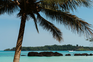 Tropical island beach landscape with a palm trees in Thailand. Crystal clear water against blue sky background. Wallpaper. Vacation