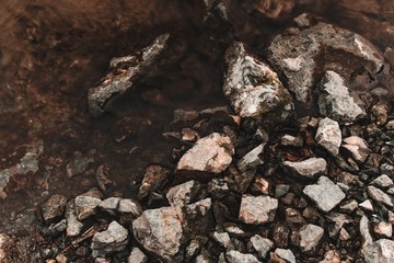 On the banks of rivers and ponds