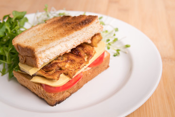 Vegan sandwich for breakfast, healthy & delicious food for plant based, vegan and vegetarian diet. Ingredients are toasted bread, vegan cheese, fried tofu, tomato, iceberg lettuce and kaiware sprouts.