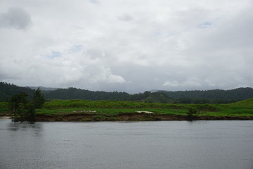 Daintre River view