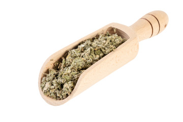 dried artichoke leaves or in latin Cynarae folium in wooden scoop isolated on white background. medicinal healing herbs. herbal medicine. alternative medicine