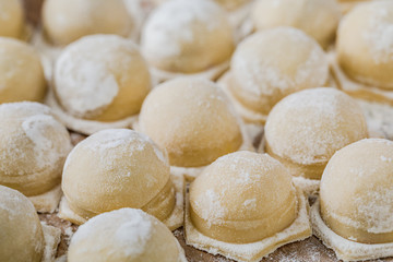 Fototapeta na wymiar fresh dumplings ready for cooking.
