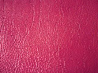 Pink background. Leather texture. Leather background. Vintage drawing. Design.