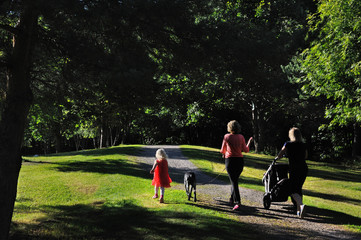 Family and Their Dog Walking in Forest of Joensuu, Northern Karelia, Finland in Summer Afternoon in July 2019