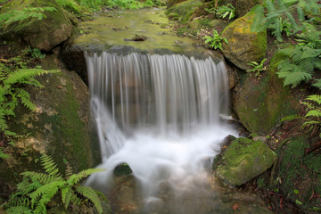 Kleiner Wasserfall mit viel Grünpflanzen in der Natur