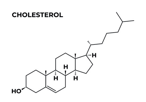 Cholesterol skeletal chemical formula on white background