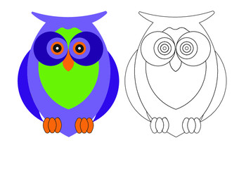 owl on white background