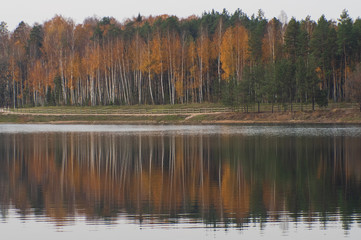 View to the yellow colored autumn forest in Ogre Zilie Kalni (Blue Hill) Nature Park over Dubkalni Reservoir with the beautiful reflections in the water