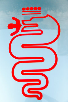coat of arms of the car brand Alfa Romeo, photographed on the hood of a car