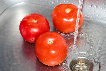 Ripe tomatoes are washed in the sink in water