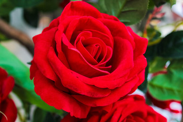 Artificial beautiful red rose close up