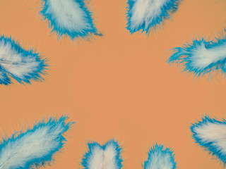 feather pattern on creative orange background