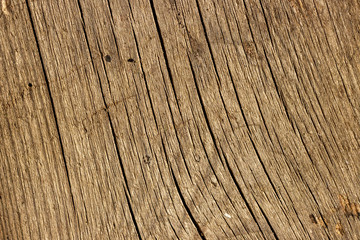 Authentic light brown aged wood textured surface
