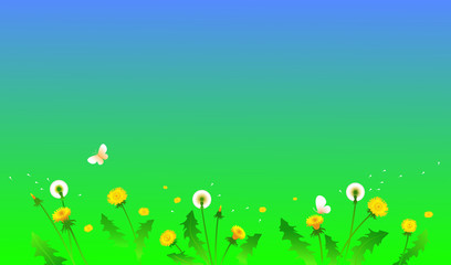 Background with flowers and dandelions