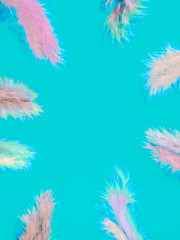 background of multi-colored feathers