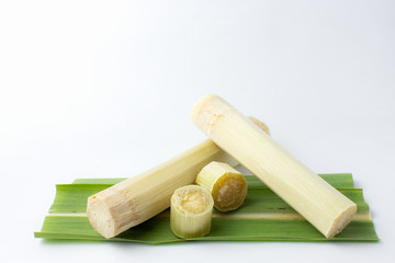 Fresh sugar cane with  cut pieces cane and sugarcane leaves on white background.