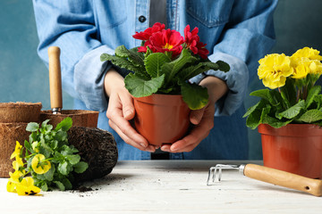 Woman hold pot, white wooden table with flowers and gardening tools, front view