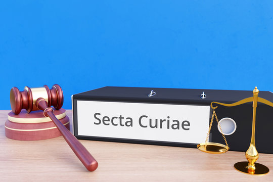 Secta Curiae &ndash; File Folder with labeling, gavel and libra &ndash; law, judgement, lawyer