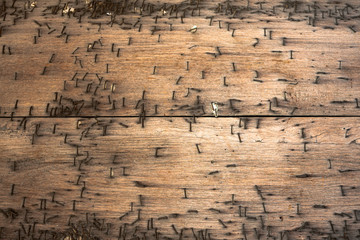 Old grunge vintage wood background with lots of nailed boards.