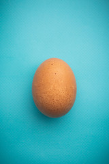 Fresh brown chicken eggs on a blue background